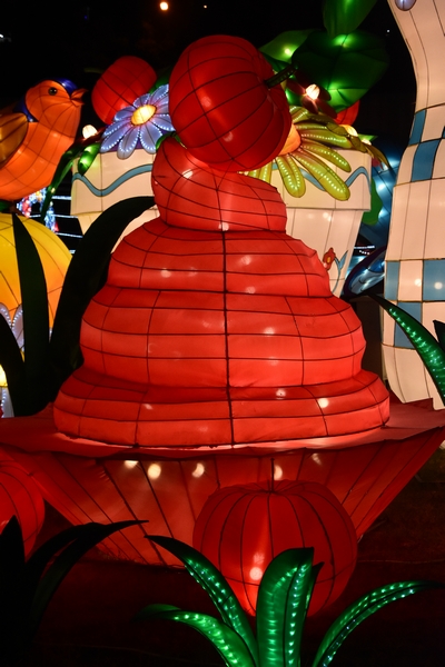 WONDERLAND A magical city of lights